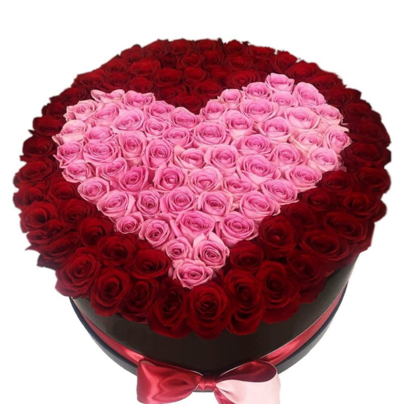 Сердце из 101 красной и розовой розы в коробке