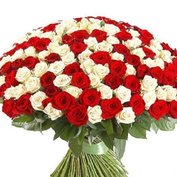 Букет MIX из 201 красной и белой розы