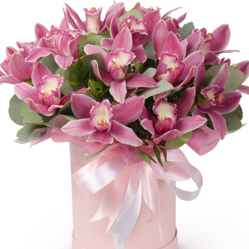 Букет из 19 розовых орхидей в коробке