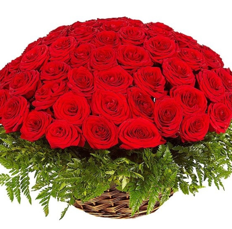 Корзина из 101 красной розы с зеленью