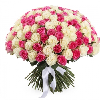 Букет MIX из 201 белой и розовой розы