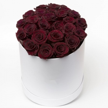 Букет из 29 бордовых роз в коробке