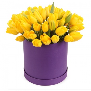 Букет из 45 желтых тюльпанов в коробке
