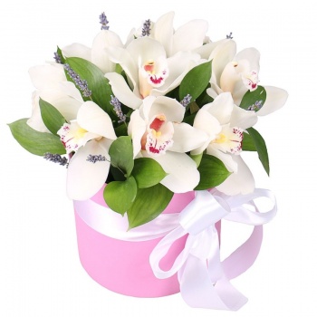 Букет из 9 белых орхидей в коробке