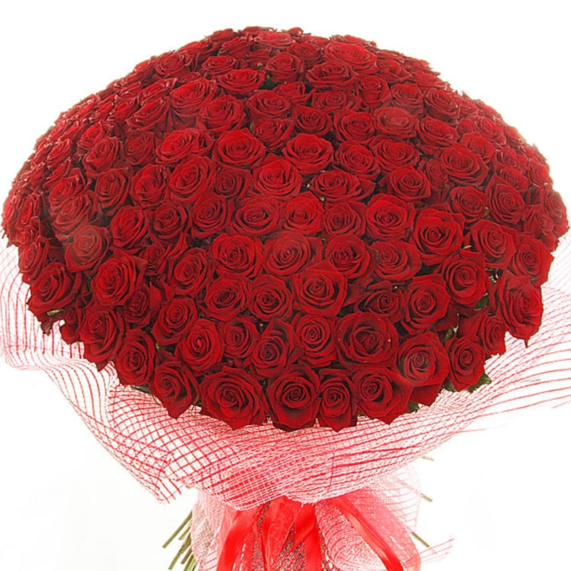 Букет из 201 красной розы "Поздравляю!"