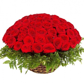 Корзина из 101 красной розы с зеленью