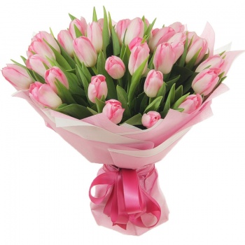 Букет из 35 розовых тюльпанов "Анжелика"