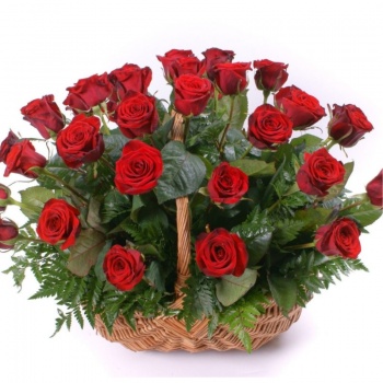 Корзина из 35 красных роз с зеленью