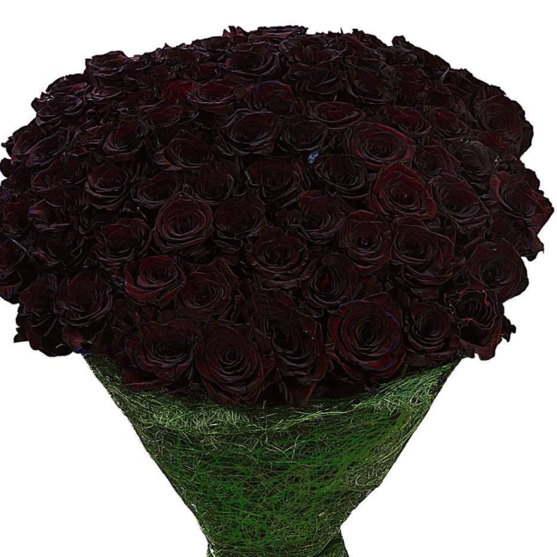 Букет из 101 темно - бордовой розы