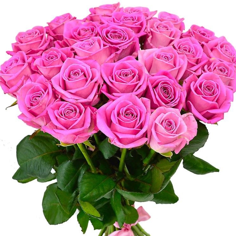 Букет из 31 розовой розы