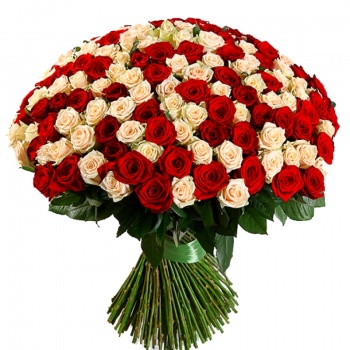 Букет MIX из 201 красной и кремовой розы