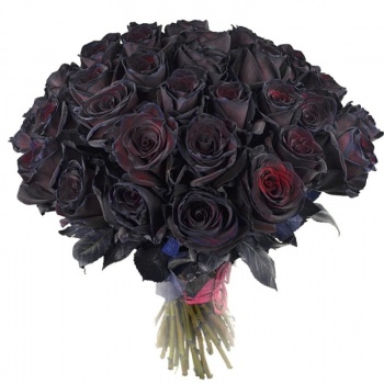 Букет из 35 темно-бордовых роз