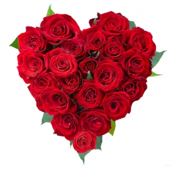 Сердце из 21 красной розы