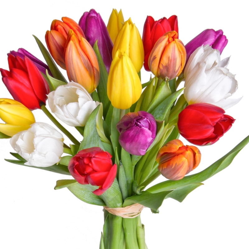 Букет MIX из 19 тюльпанов разных цветов