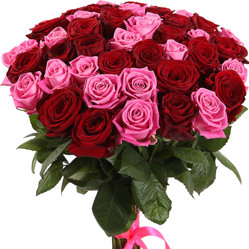 Букет из 51 красной и розовой розы