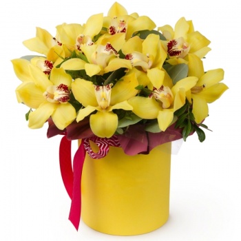 Букет из 17 желтых орхидей в коробке
