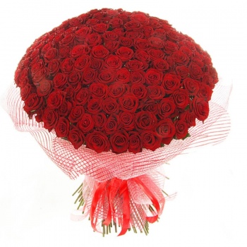 Букет из 201 красной розы "Поздравляю!"
