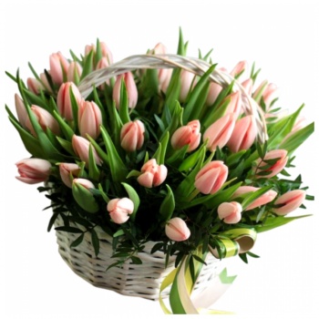 Розовые тюльпаны в корзине