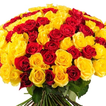 Букет из 101 красной розы и желтой розы