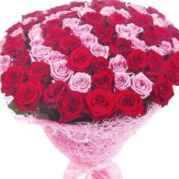 Букет из 101 красной и розовой розы