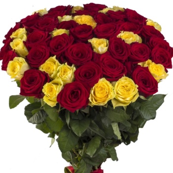 Букет из 55 бордовых и желтых роз