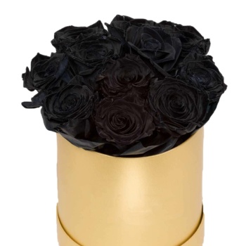 Букет из 11 черных роз в коробке