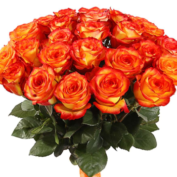 Букет из 35 оранжевых роз