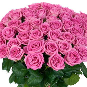 Букет из 55 розовых роз