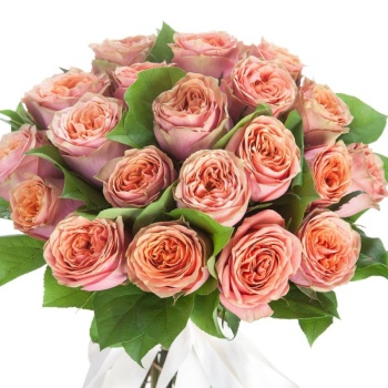 Букет из 21 пионовидной розы с зеленью