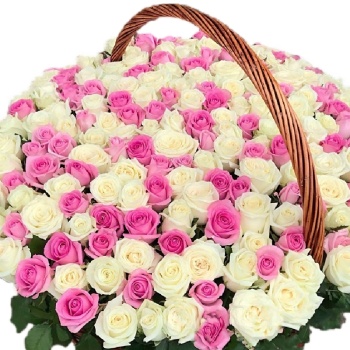 Букет MIX из 201 белой и розовой розы в корзине