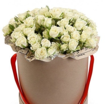 Букет из 21 кустовой розы в коробке