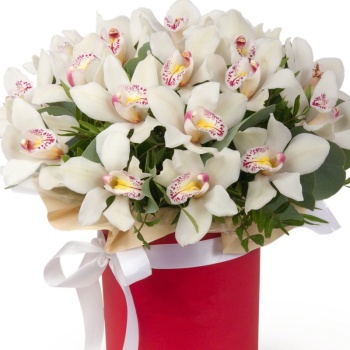Букет из 19 белых орхидей в коробке