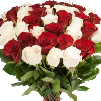 Букет из 45 красных и белых роз
