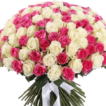 Букет MIX из 201 белой и розовой розы