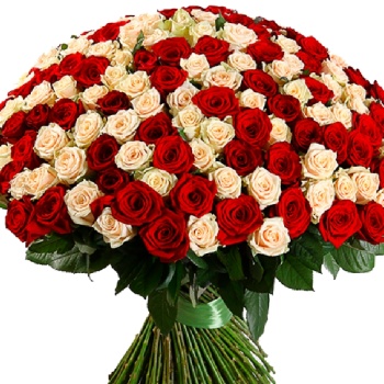 Букет MIX из 201 красной и кремовой розы