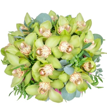 Букет из орхидей в коробке с зеленью