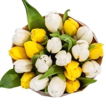 Букет из 15 желтых и белых тюльпанов в крафте