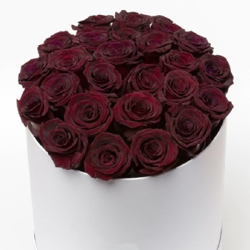 Букет из 29 бордовых роз в коробке
