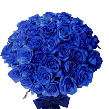 Букет из 51 синей розы