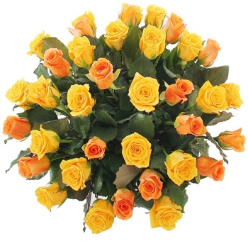 Букет из 31 коралловой и оранжевой розы